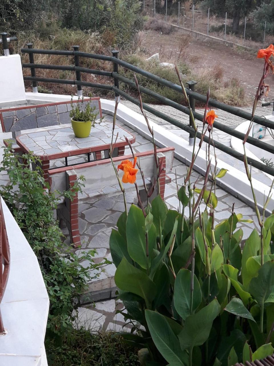 Villa Oliva アストリス エクステリア 写真