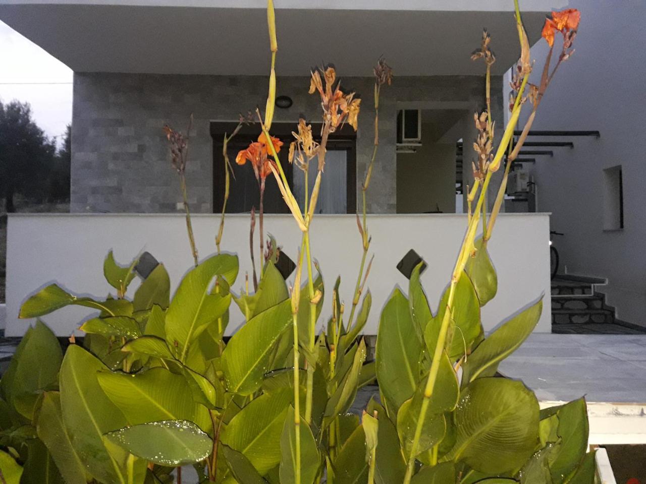 Villa Oliva アストリス エクステリア 写真